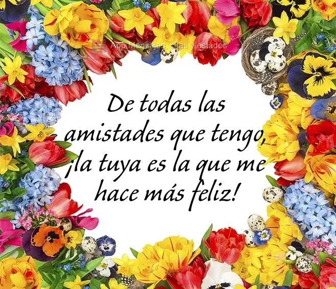 De todas las amistades que tengo, ¡la tuya es la que me hace más feliz!