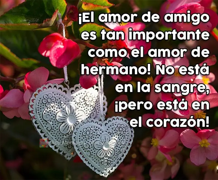 ¡El amor de amigo es tan importante como el amor de hermano! No está en la sangre, ¡pero está en el corazón!