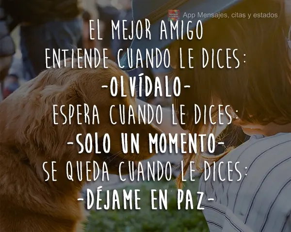 El mejor amigo entiende cuando le dices: "Olvídalo"; espera cuando le dices: "Solo un momento"; se queda cuando le dices: "Déjame en paz".