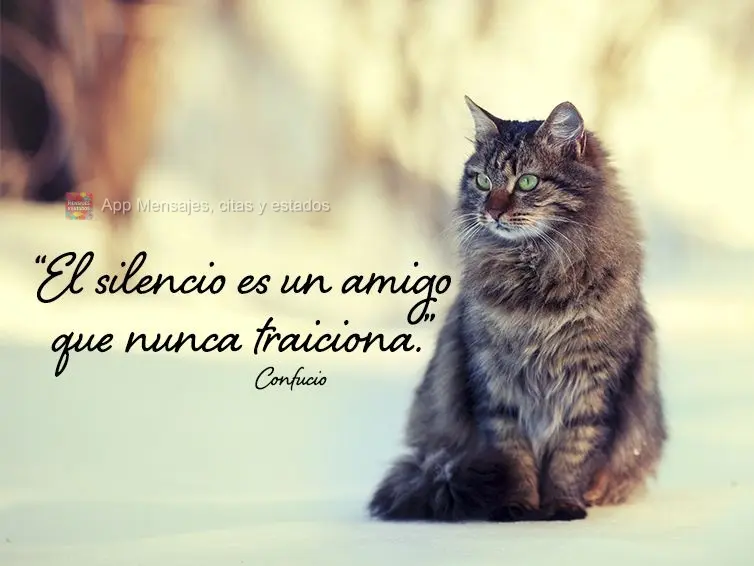 "El silencio es un amigo que nunca traiciona". Confucio
