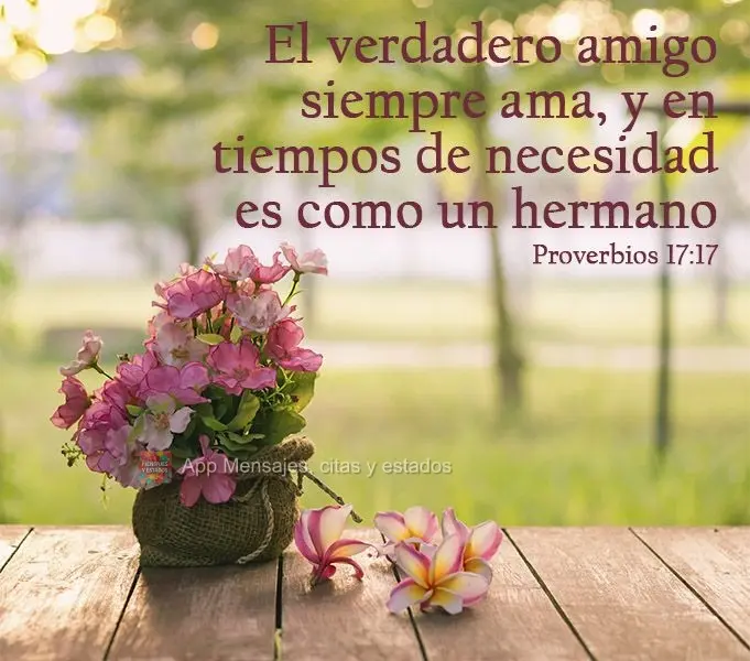 "El verdadero amigo siempre ama, y en tiempos de necesidad es como un hermano". Proverbios 17:17