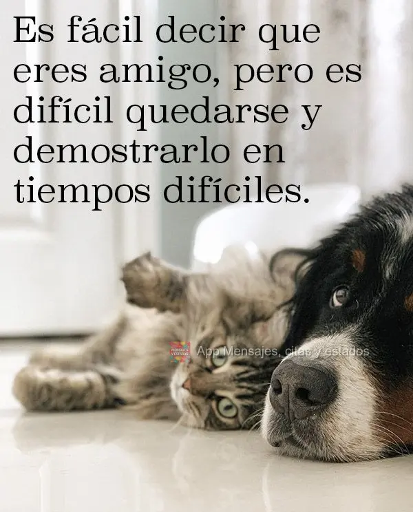 Es fácil decir que eres amigo, pero es difícil quedarse y demostrarlo en tiempos difíciles.