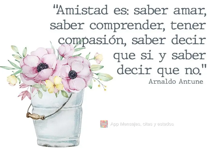 "Amistad es: saber amar, saber comprender, tener compasión, saber decir que si y saber decir que no." Arnaldo Antunes