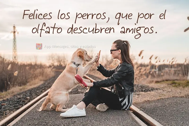 Felices los perros, que por el olfato descubren amigos.