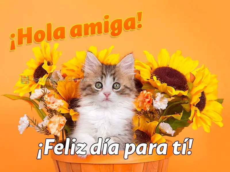 ¡Feliz día para tí! ¡Hola amiga!