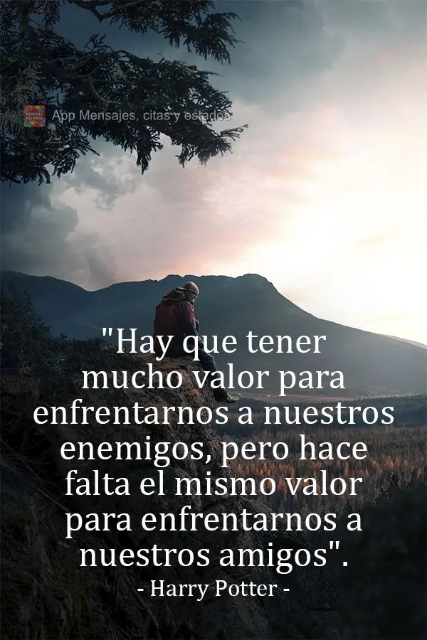 "Hay que tener mucho valor para enfrentarnos a nuestros enemigos, pero hace falta el mismo valor para enfrentarnos a nuestros amigos". Harry Potter
