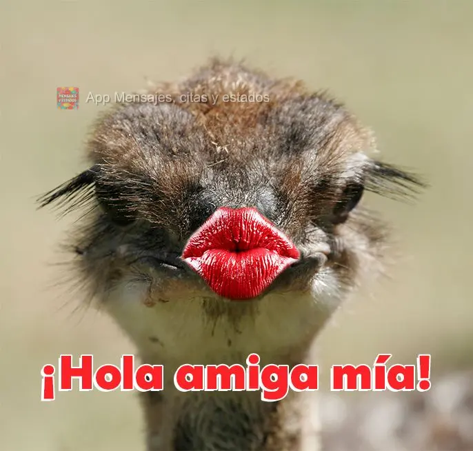 ¡Hola amiga mía!
