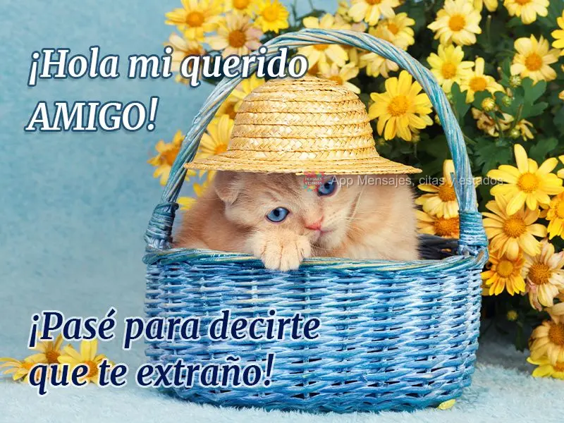 ¡Hola mi querido amigo! ¡Pasé para decirte que te extraño!