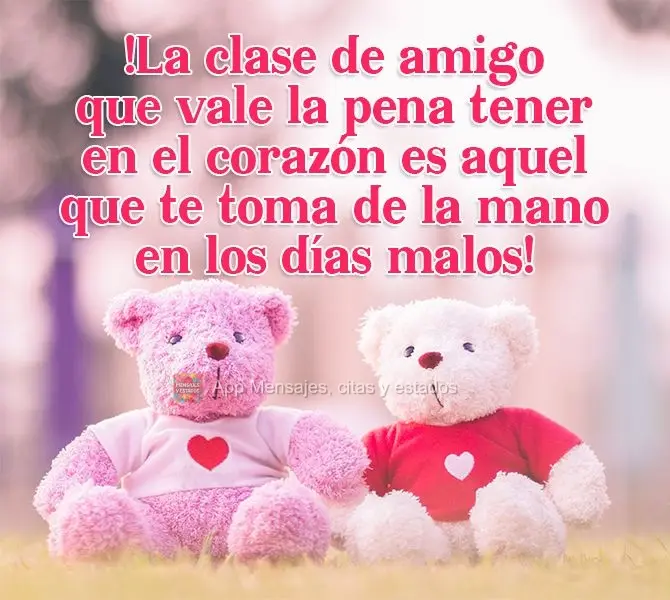 ¡La clase de amigo que vale la pena tener en el corazón es aquel que te toma de la mano en los días malos!