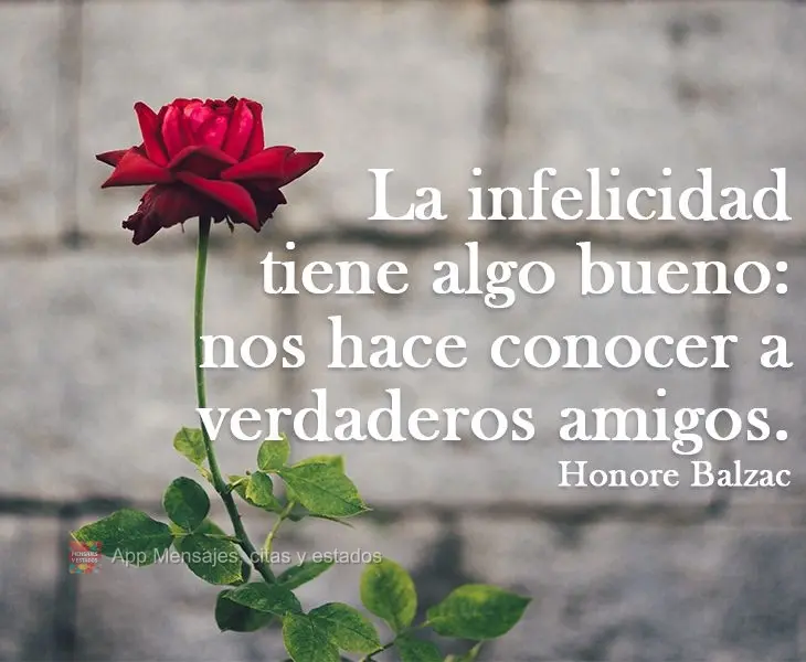 La infelicidad tiene algo bueno: nos hace conocer a verdaderos amigos. Honore Balzac