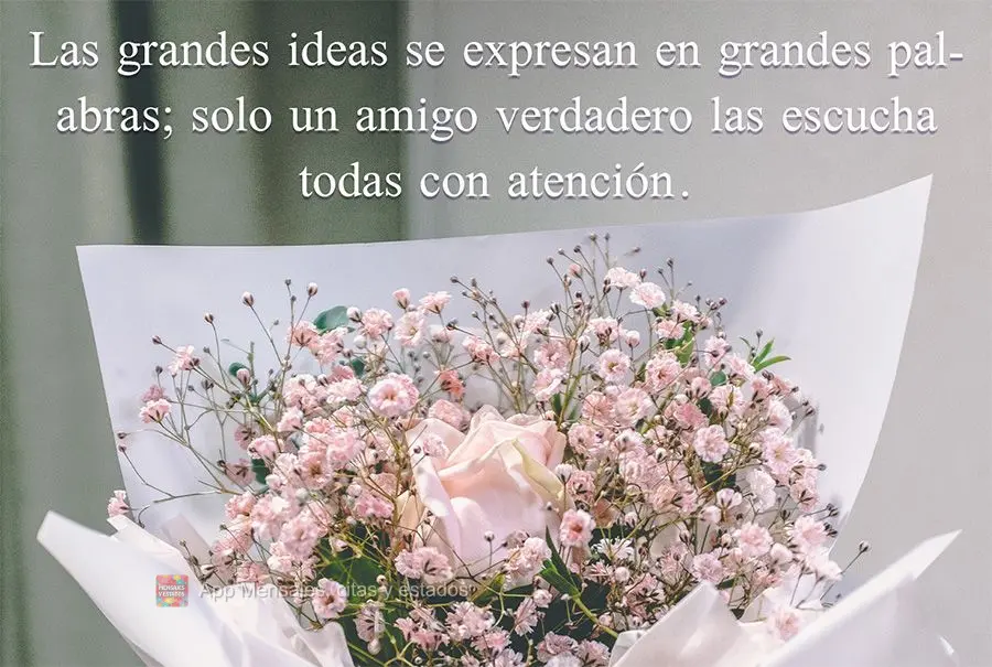 Las grandes ideas se expresan en grandes palabras; solo un amigo verdadero las escucha todas con atención.