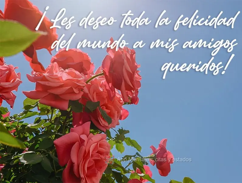 ¡Les deseo toda la felicidad del mundo a mis amigos queridos!