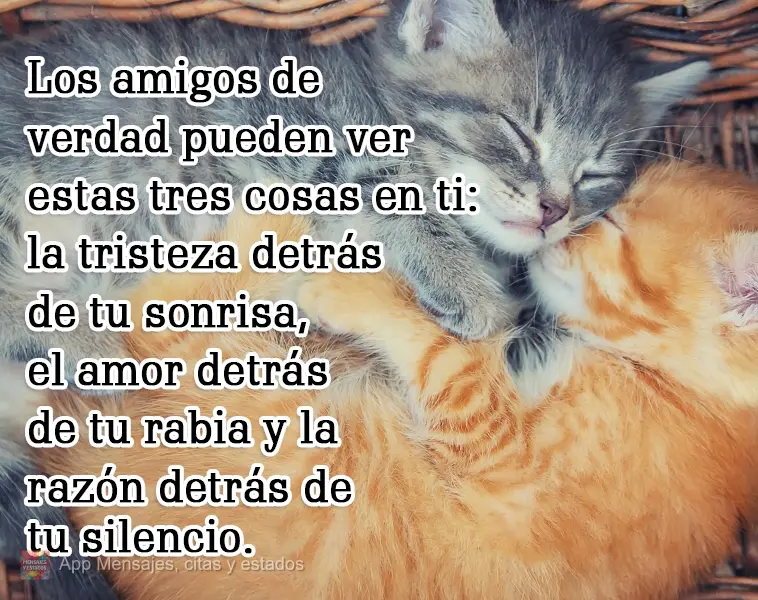 Los amigos de verdad pueden ver estas tres cosas en ti: la tristeza detrás de tu sonrisa, el amor detrás de tu rabia y la razón detrás de tu silencio...