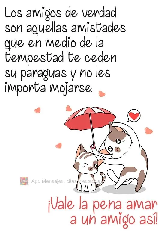 Los amigos de verdad son aquellas amistades que en medio de la tempestad te ceden su paraguas y no les importa mojarse. ¡Vale la pena amar a un amigo as...