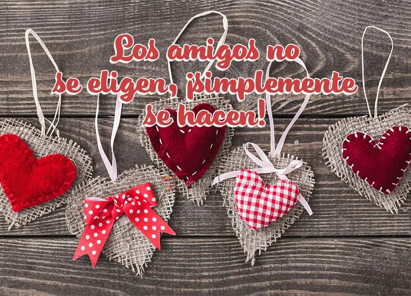 Los amigos no se eligen, ¡simplemente se hacen!