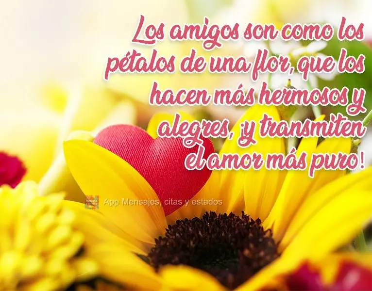 Los amigos son como los pétalos de una flor, que los hacen más hermosos y alegres, ¡y transmiten el amor más puro!