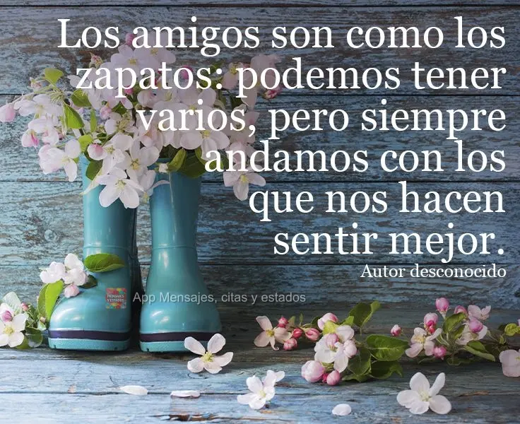 Los amigos son como los zapatos: podemos tener varios, pero siempre andamos con los que nos hacen sentir mejor. Autor desconocido