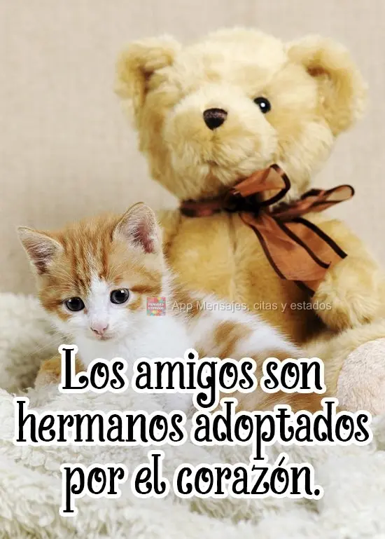 Los amigos son hermanos adoptados por el corazón.