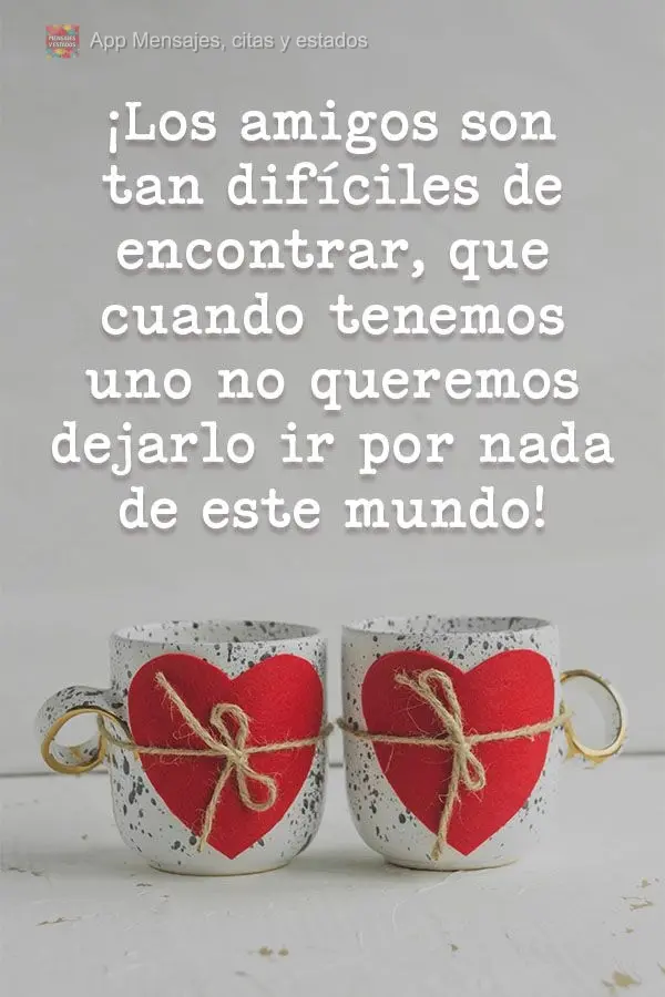 ¡Los amigos son tan difíciles de encontrar, que cuando tenemos uno no queremos dejarlo ir por nada de este mundo!