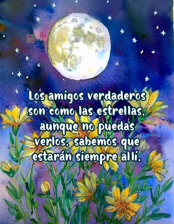 Los amigos verdaderos son como las estrellas, aunque no puedas verlos, sabemos que estarán siempre allí.