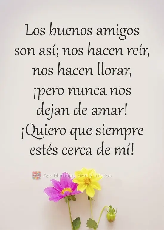 Los buenos amigos son así; nos hacen reír, nos hacen llorar, ¡pero nunca nos dejan de amar! ¡Quiero que siempre estés cerca de mí!