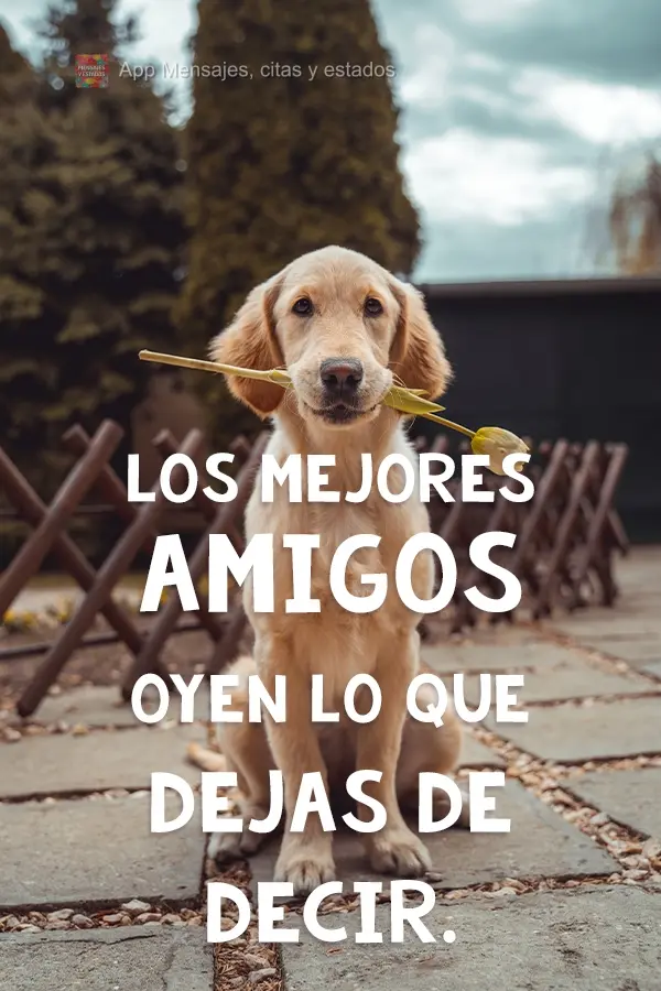 Los mejores amigos oyen lo que dejas de decir.