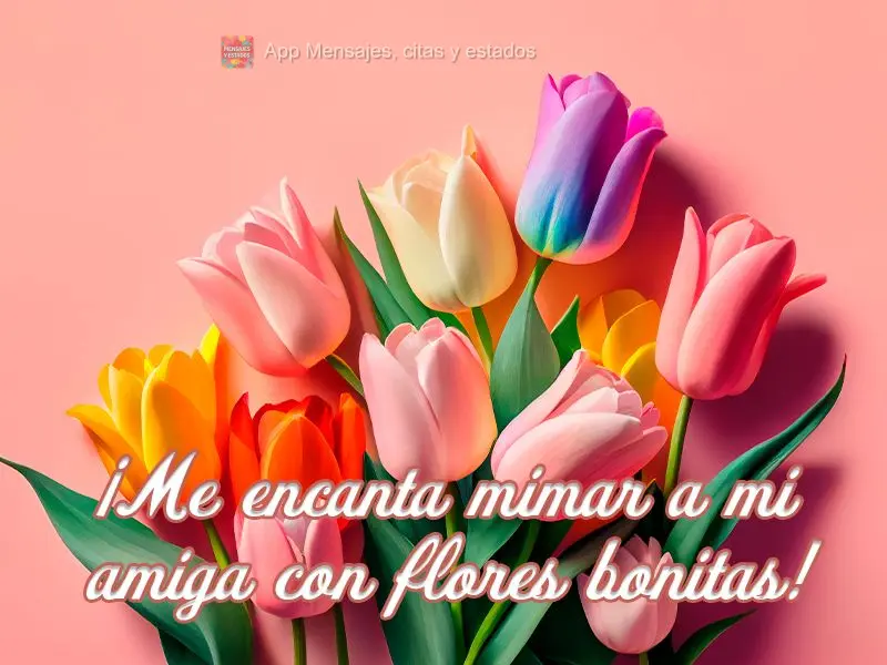 ¡Me encanta mimar a mi amiga con flores bonitas!