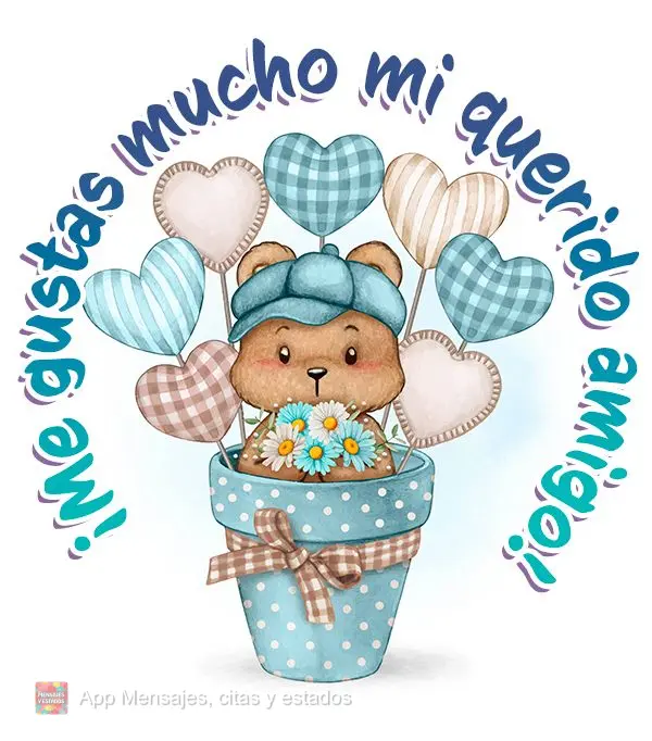 ¡Me gustas mucho mi querido amigo!