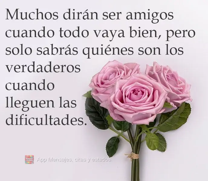 Muchos dirán ser amigos cuando todo vaya bien, pero solo sabrás quiénes son los verdaderos cuando lleguen las dificultades.