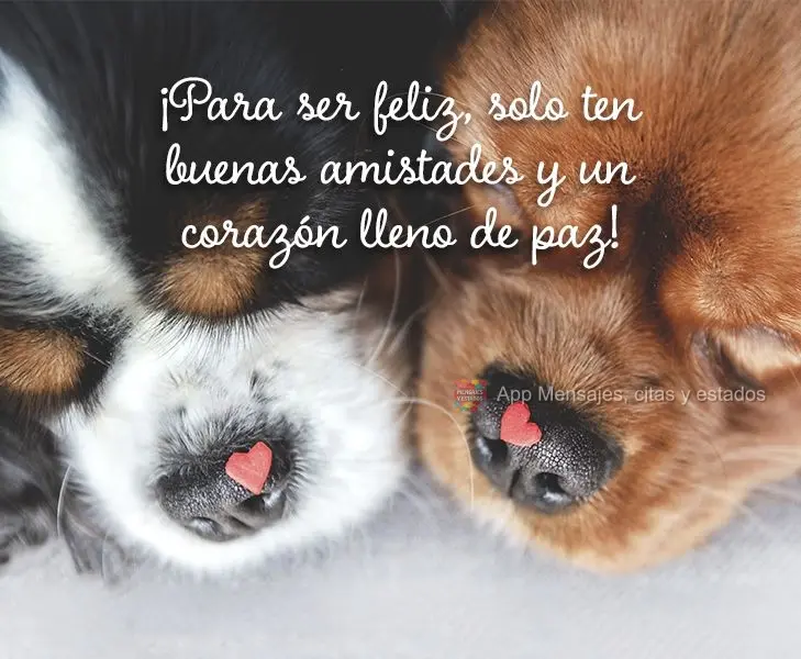 ¡Para ser feliz, solo ten buenas amistades y un corazón lleno de paz!