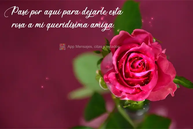 Pasé por aquí para dejarle esta rosa a mi queridísima amiga.