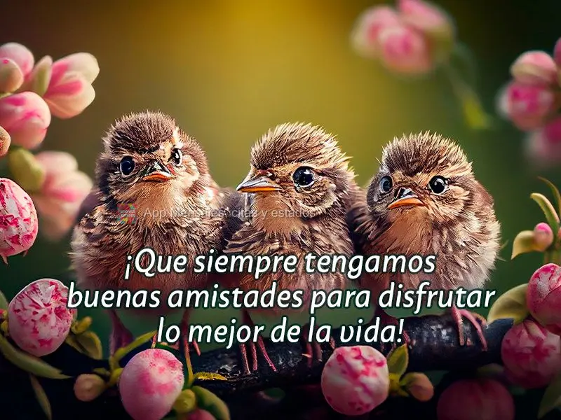 ¡Que siempre tengamos buenas amistades para disfrutar lo mejor de la vida!