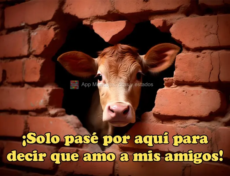 ¡Solo pasé por aquí para decir que amo a mis amigos!