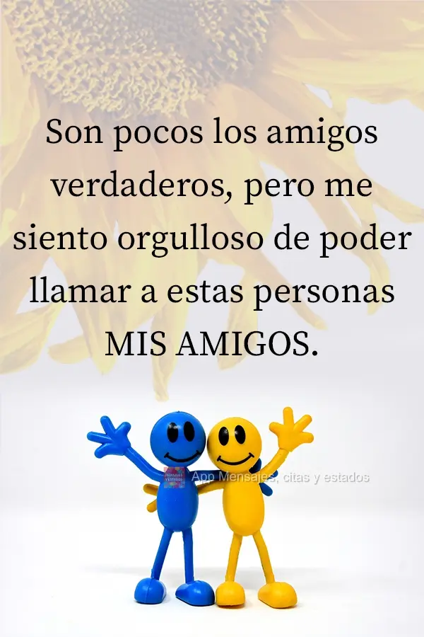 Son pocos los amigos verdaderos, pero me siento orgulloso de poder llamar a estas personas MIS AMIGOS.