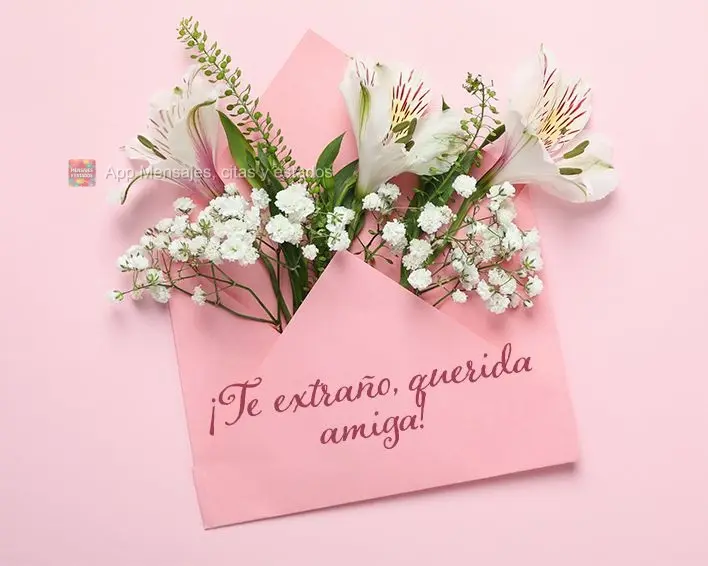 ¡Te extraño, querida amiga!