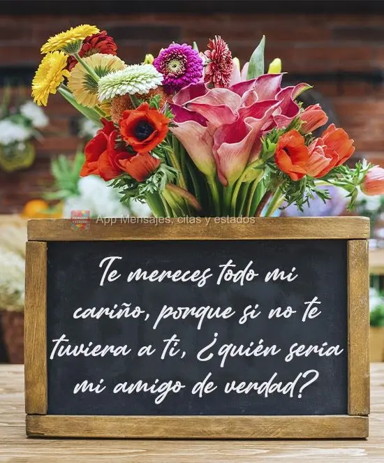 Te mereces todo mi cariño, porque si no te tuviera a ti, ¿quién sería mi amigo de verdad?