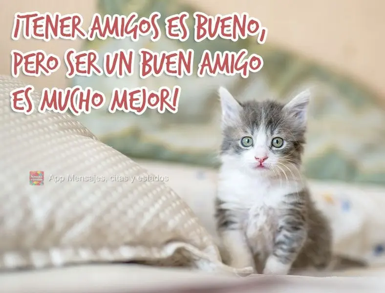 ¡Tener amigos es bueno, pero ser un buen amigo es mucho mejor!