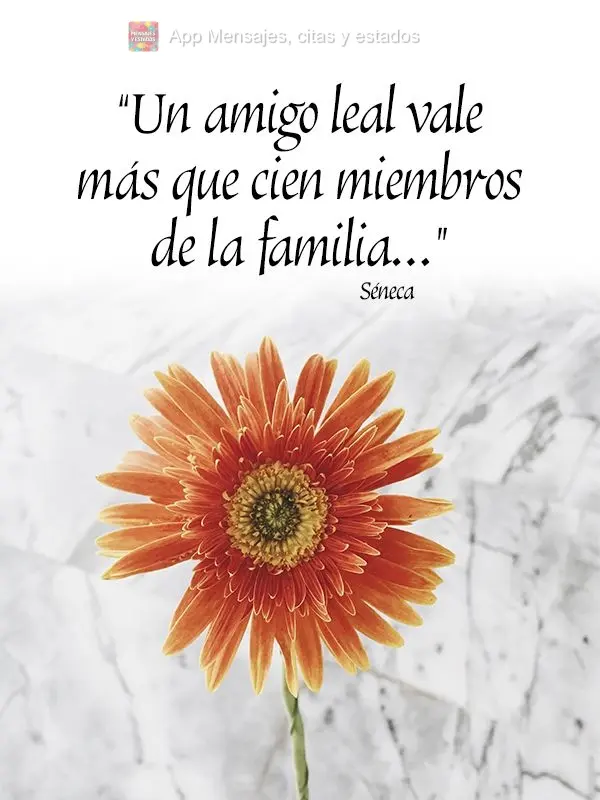 "Un amigo leal vale más que cien miembros de la familia ..." Séneca