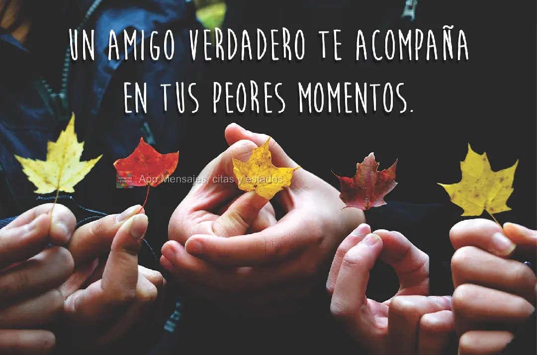 Un amigo verdadero te acompaña en tus peores momentos.