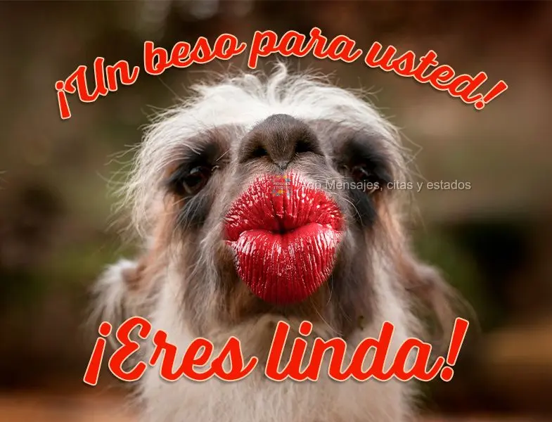 ¡Un beso para usted! ¡Eres linda!