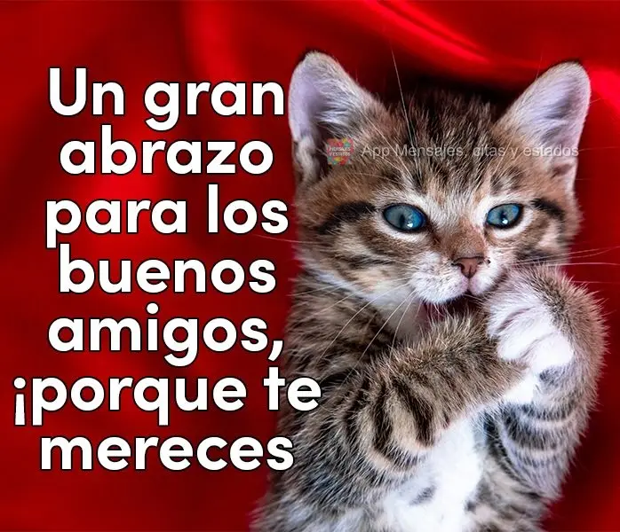 Un gran abrazo para los buenos amigos, ¡porque te mereces mucho cariño!