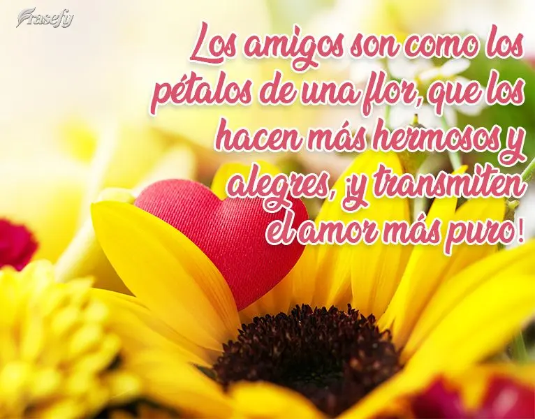 Amigos são como pétalas de uma flor, que as deixam mais belas e alegres, e transmitem o mais puro amor!
