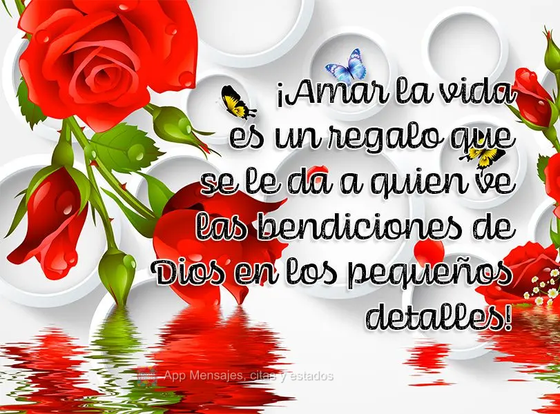 ¡Amar la vida es un regalo que se le da a quien ve las bendiciones de Dios en los pequeños detalles!