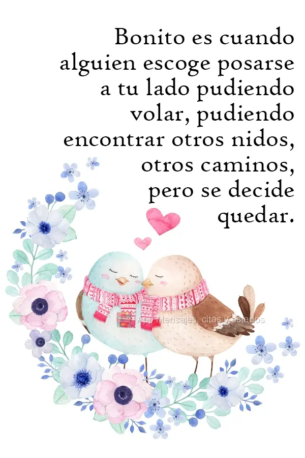 Bonito es cuando alguien escoge posarse a tu lado pudiendo volar, pudiendo encontrar otros nidos, otros caminos, pero se decide quedar.