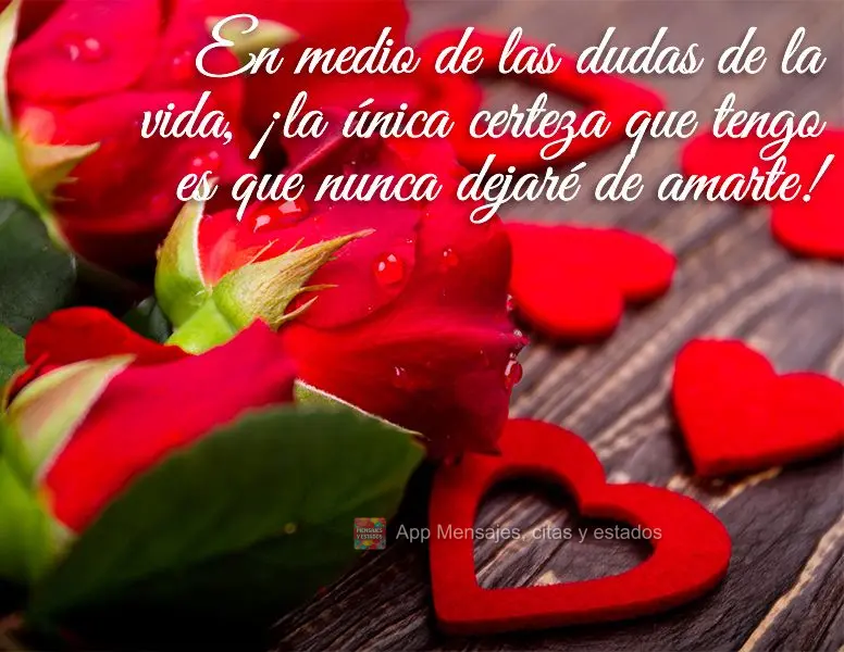 En medio de las dudas de la vida, ¡La única certeza que tengo es que nunca dejaré de amarte!