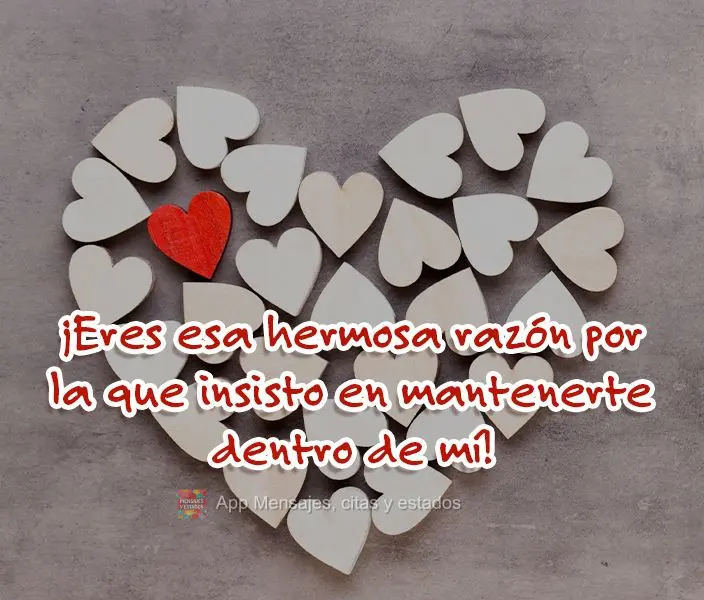 ¡Eres esa hermosa razón por la que insisto en mantenerte dentro de mí!