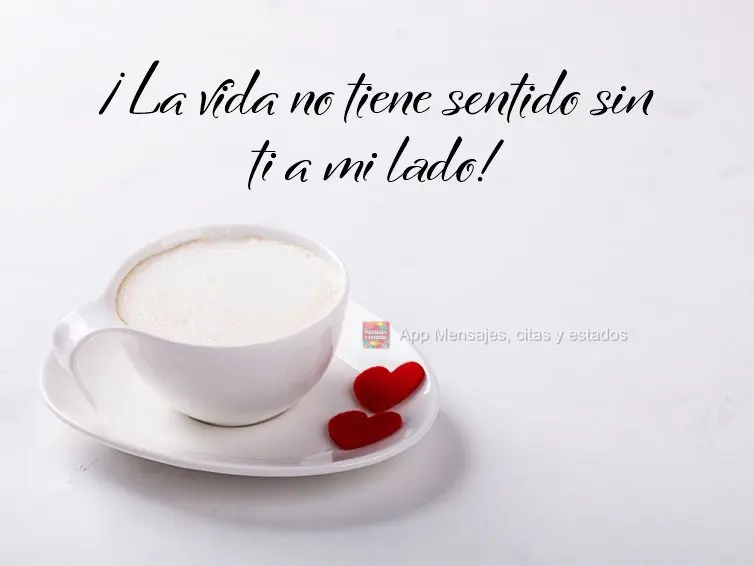 ¡La vida no tiene sentido sin ti a mi lado!