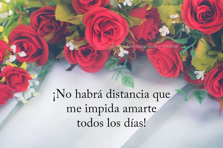 ¡No habrá distancia que me impida amarte todos los días!