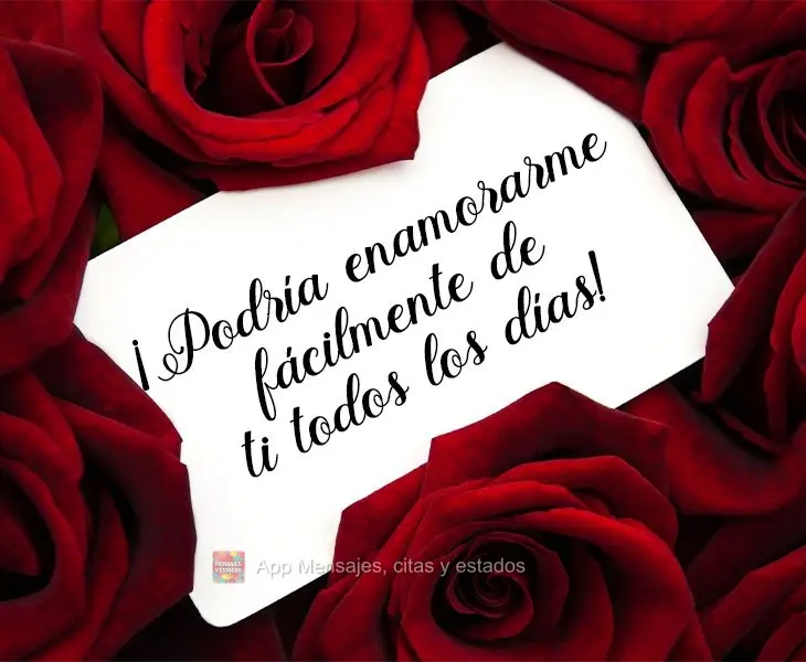 ¡Podría enamorarme fácilmente de ti todos los días!