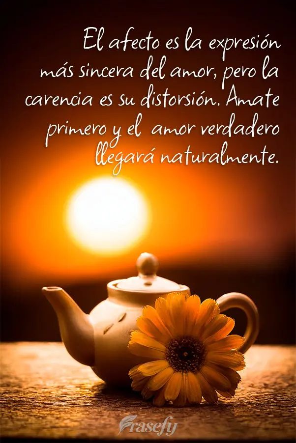 El afecto es la expresión más sincera del amor, pero la carencia es su distorsión. Amate primero y el  amor verdadero llegará naturalmente.
